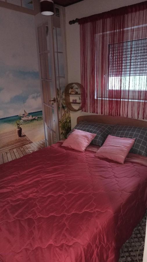 Apartman Palic Libero Kültér fotó